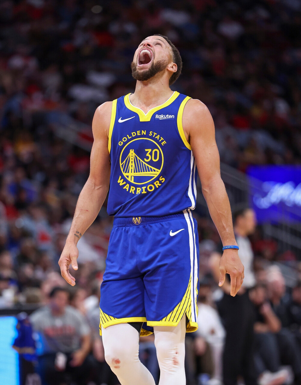 充分展示了 充分展示了