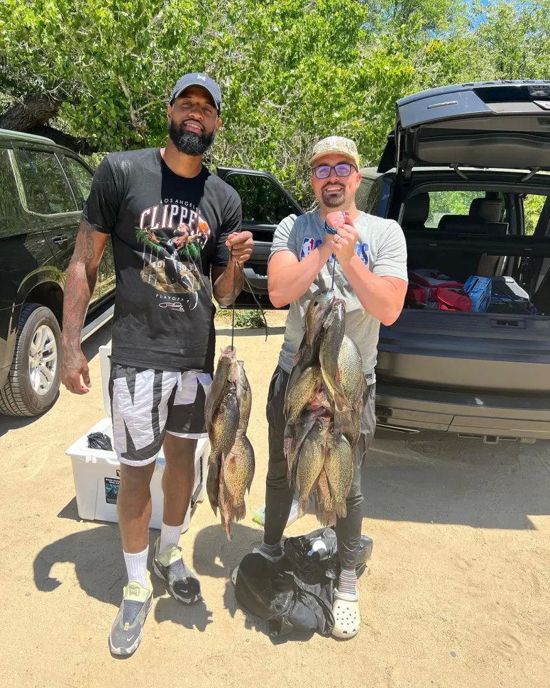 展示了自身 展示了自身