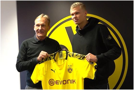 德甲以体系 德甲以体系