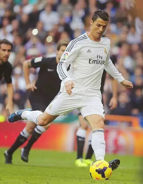 式乱战摇头 式乱战摇头